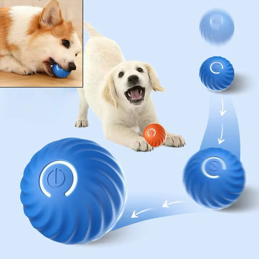 PELOTA INTERACTIVA PARA MASCOTA