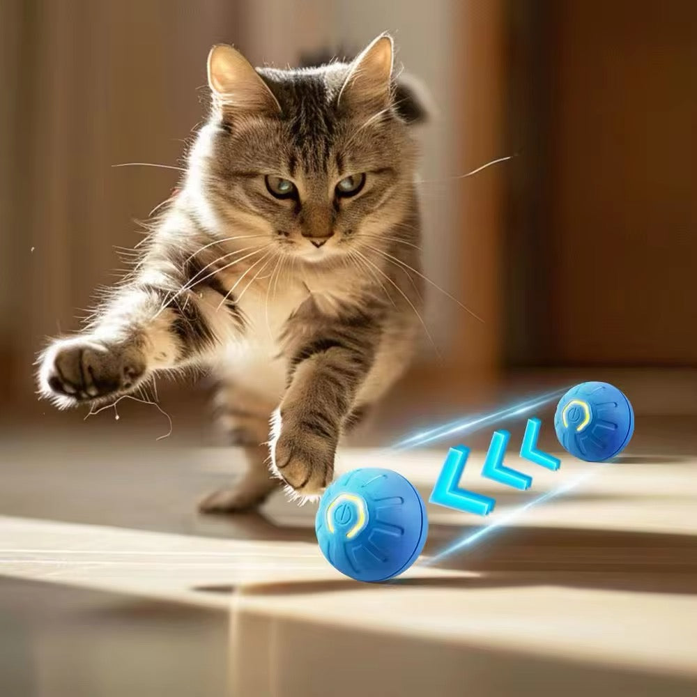 PELOTA INTERACTIVA PARA MASCOTA